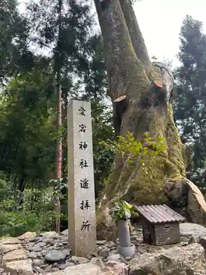 八幡神社(福井県)