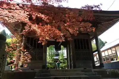 三角寺(愛媛県)