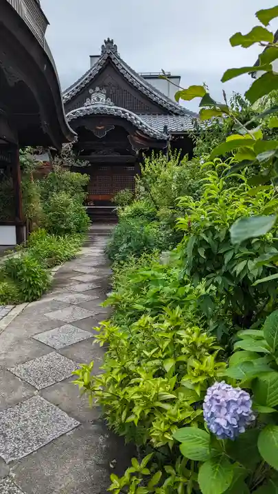 福田寺(京都府)