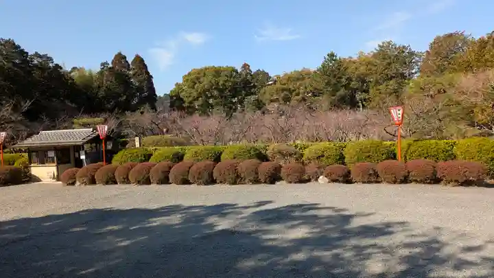 隨心院(随心院)(京都府)