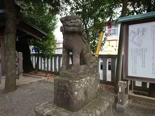 伊勢原大神宮の狛犬