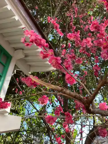 田無神社の自然