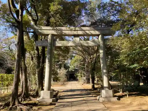 赤坂氷川神社の鳥居