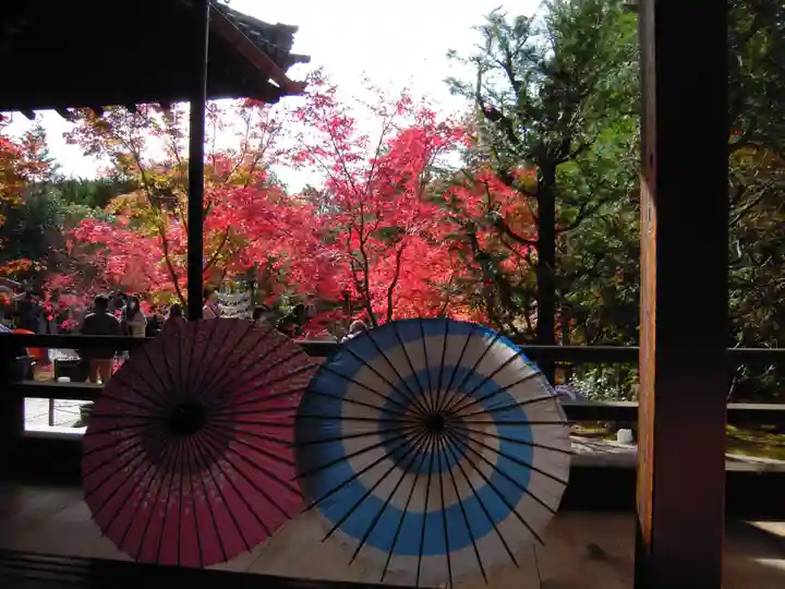 勝林寺(京都府)