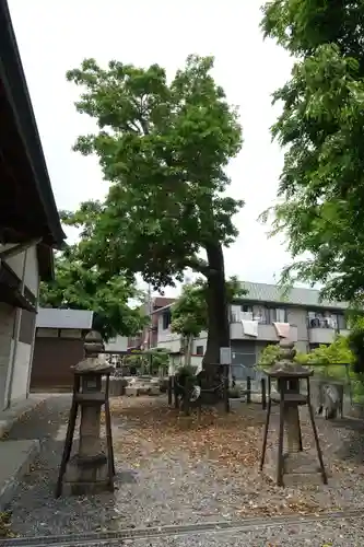 筑紫津神社の自然