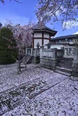 常在寺のその他建物