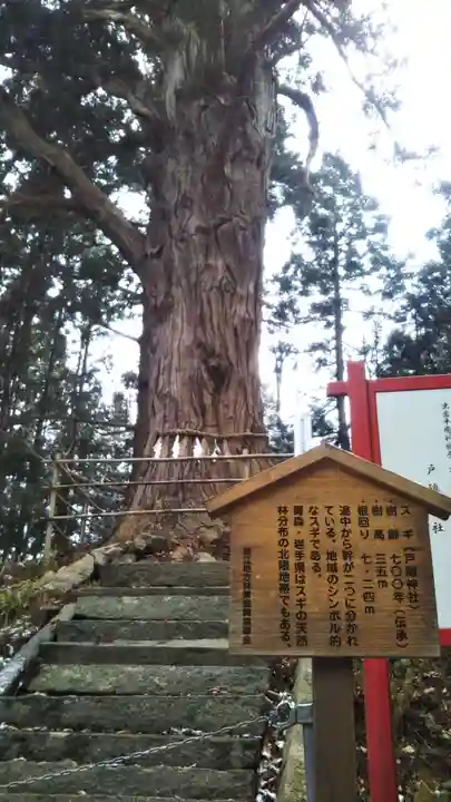 戸隠神社の自然