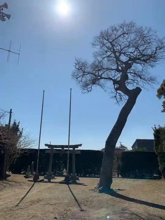 八幡神社(千葉県)