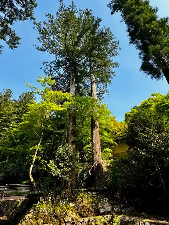 岩滝寺(兵庫県)