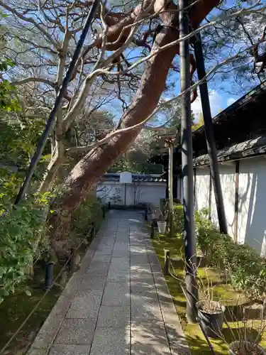 退蔵院(京都府)