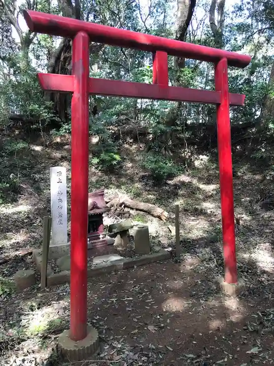 冨士浅間神社の鳥居
