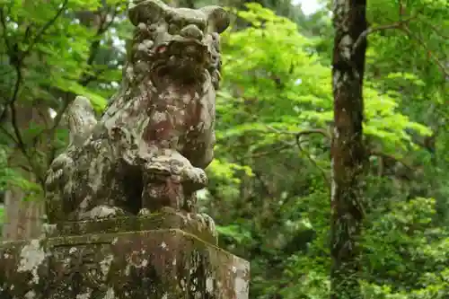 新宮神社の狛犬