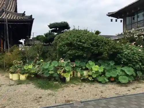 長栄寺の庭園