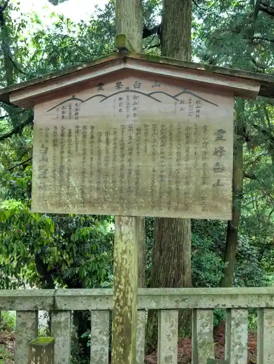 白山比咩神社の{uncategorized: "未分類", other: "その他", undefined: "問題あり", building: "その他建物", grave: "お墓", sacred_gate: "鳥居", guardian: "狛犬", statue: "像", buddha: "仏像", history: "歴史", nature: "自然", garden: "庭園", animal: "動物", pagoda: "塔", temizu: "手水舎", mountain_gate: "山門・神門", sanctuary: "本殿・本堂", subordinate: "末社・摂社", art: "芸術", scenery: "景色", jizo: "地蔵", ema: "絵馬", goshuin: "御朱印", omikuji: "おみくじ", items: "授与品その他", amulet: "お守り", goshuincho: "御朱印帳", eats: "食事", festival: "お祭り", votive_dance: "神楽", shichigosan: "七五三参", wedding: "結婚式", experience: "体験その他", initially: "初詣", around: "周辺", anti_infection: "感染症対策"}
