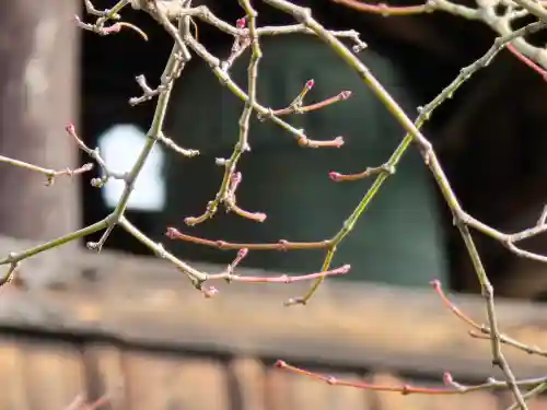 天龍寺(京都府)