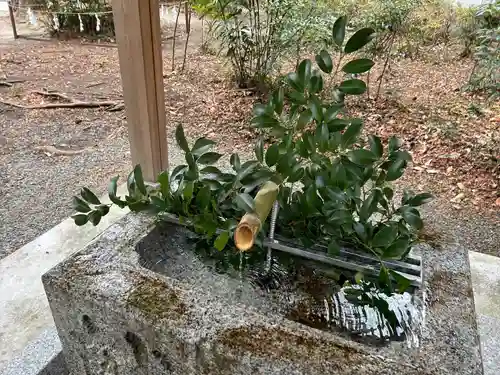 諏訪八幡神社の手水