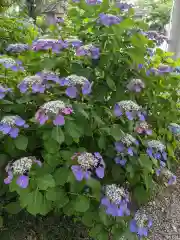 御裳神社の自然