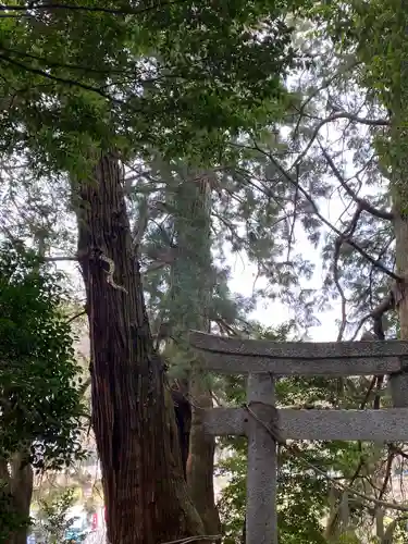 高岡神社(岡山県)