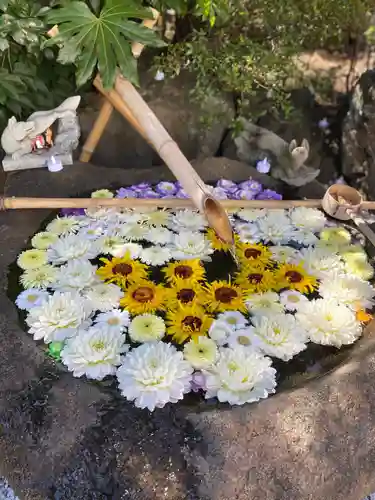 東京羽田 穴守稲荷神社の手水舎