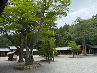 北海道神宮(北海道)