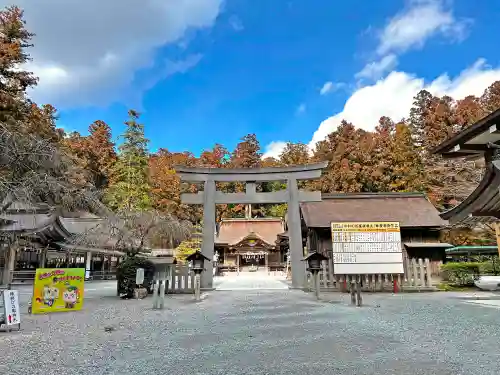 小國神社の鳥居