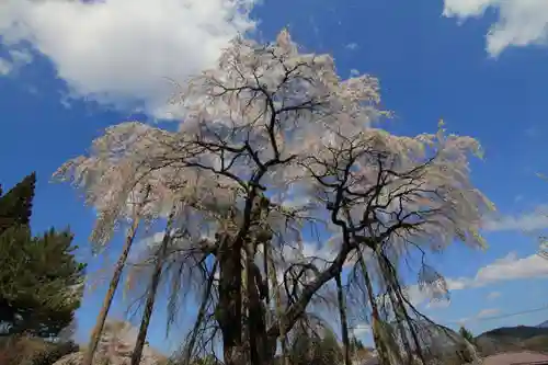 永泉寺の庭園