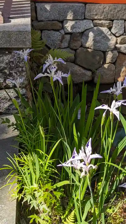 吉田神社(京都府)