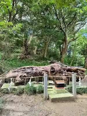 泉神社(茨城県)