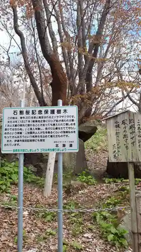 有珠善光寺の歴史