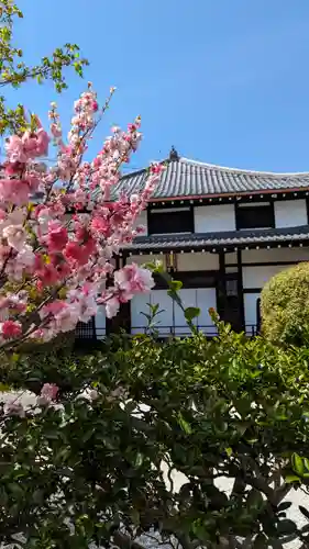 轉法輪寺(京都府)