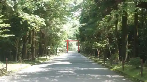 霧島神宮(鹿児島県)
