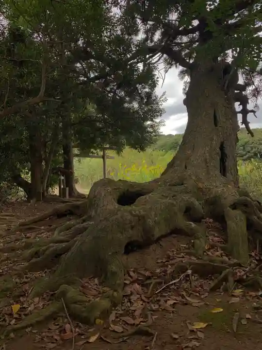 巖島大神(千葉県)