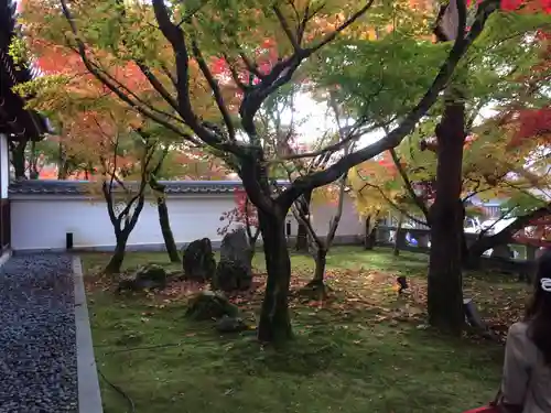 禅林寺（永観堂）の庭園