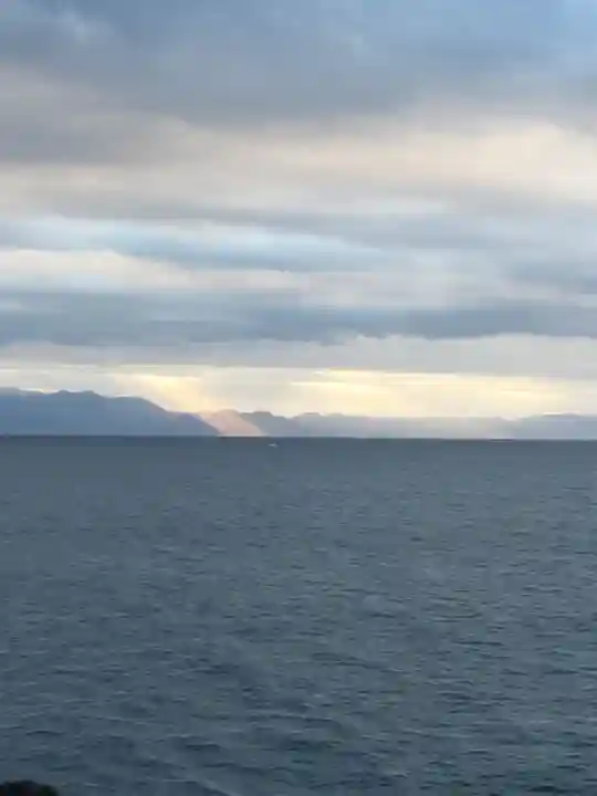 静岡浅間神社の自然