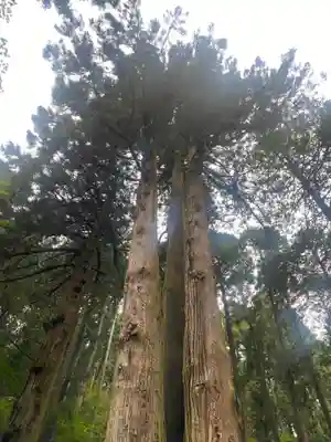 御岩神社(茨城県)