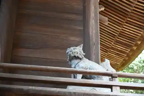 医家神社(徳島県)