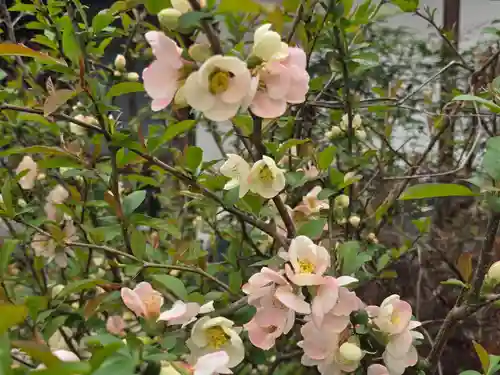 円解院(和歌山県)