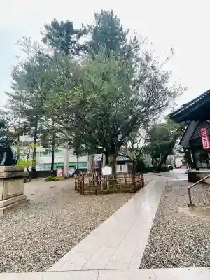 尾山神社(石川県)