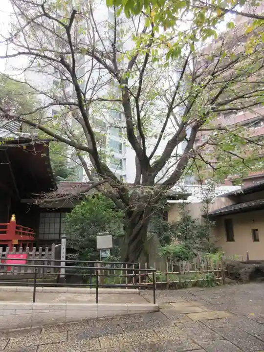金王八幡宮のその他建物