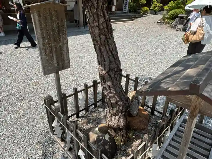 小國神社(静岡県)