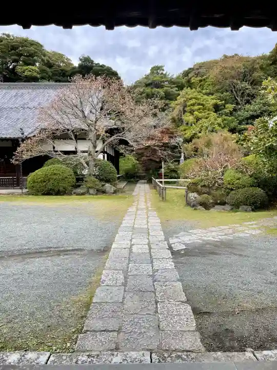 浄光明寺(神奈川県)