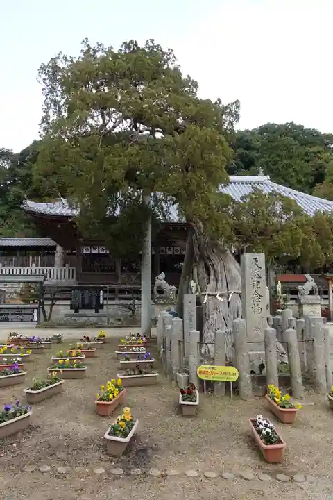 河上神社のその他建物