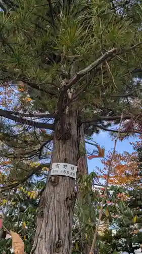 烈々布神社の自然