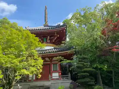 温泉山 安楽寺(四国霊場第六番札所)(徳島県)
