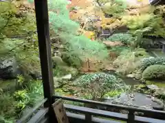 禅林寺（永観堂）の庭園