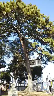 須賀神社の自然