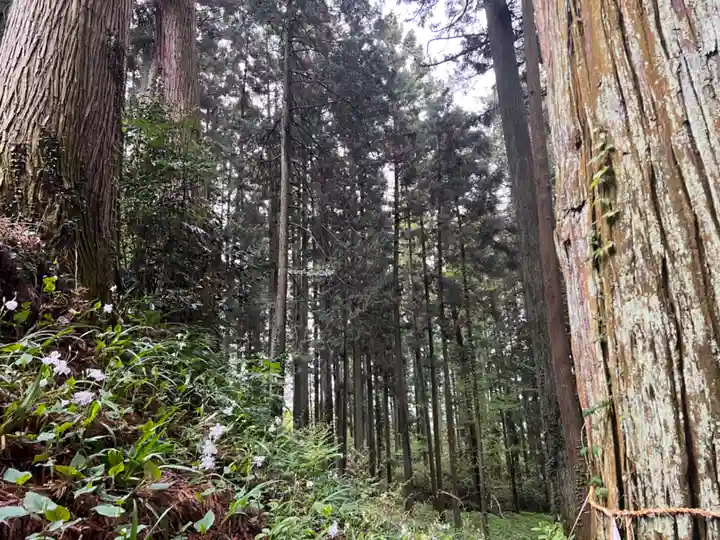 大宮温泉神社(栃木県)