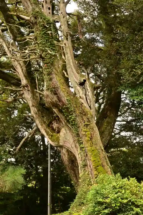 円城寺(島根県)
