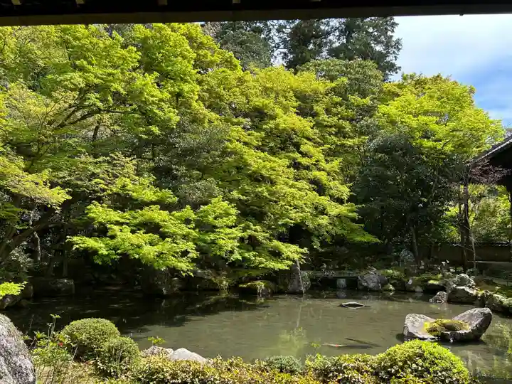 蓮華寺(洛北蓮華寺)(京都府)
