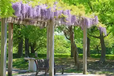 滑川神社 - 仕事と子どもの守り神の周辺
